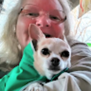 Meet your Posher, Jean